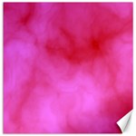 Pink Clouds Canvas 20  x 20 