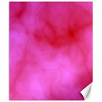 Pink Clouds Canvas 20  x 24 