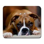 Boxer Large Mousepad