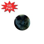Rocky the Cat 1  Mini Button (100 pack) 