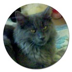 Rocky the Cat Magnet 5  (Round)