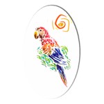 Scarlet Macaw Magnet (Oval)