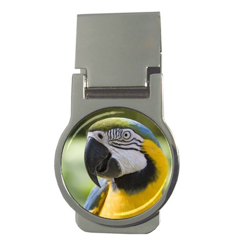 Parrot Money Clip (Round) from ArtsNow.com Front
