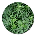 Weed Plants  Round Mousepad