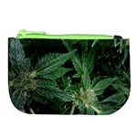 Weed Plants c Large Coin Purse