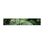 Weed Plants d Flano Scarf (Mini)