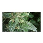Weed Plants d Satin Wrap