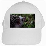 Standard Hedgehog White Cap