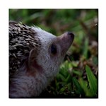 Standard Hedgehog Tile Coaster