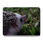 Standard Hedgehog Small Mousepad