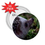 Standard Hedgehog 2.25  Button (10 pack)