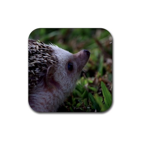 Standard Hedgehog Rubber Coaster (Square) from ArtsNow.com Front