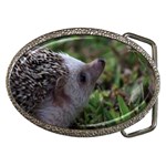 Standard Hedgehog Belt Buckle