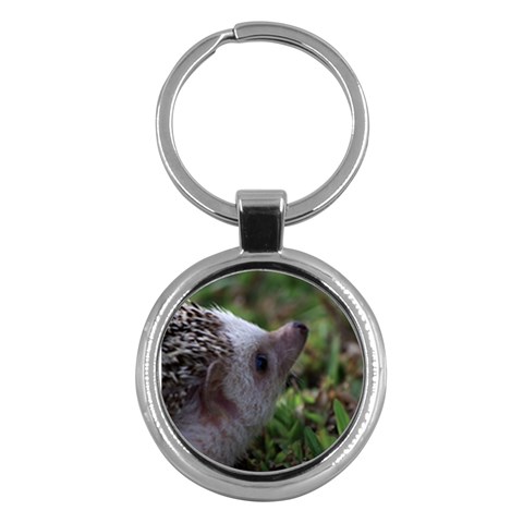Standard Hedgehog Key Chain (Round) from ArtsNow.com Front