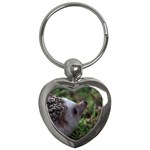 Standard Hedgehog Key Chain (Heart)