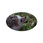 Standard Hedgehog Sticker (Oval)