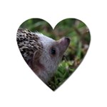 Standard Hedgehog Magnet (Heart)