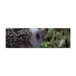 Standard Hedgehog Sticker Bumper (10 pack)