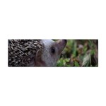 Standard Hedgehog Sticker Bumper (100 pack)