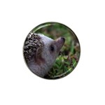Standard Hedgehog Hat Clip Ball Marker (4 pack)