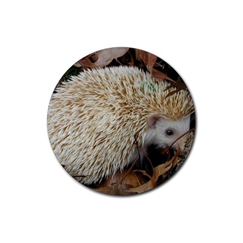 Hedgehog in Leaves Rubber Coaster (Round) from ArtsNow.com Front