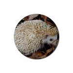 Hedgehog in Leaves Rubber Coaster (Round)