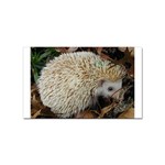 Hedgehog in Leaves Sticker Rectangular (100 pack)