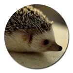Standard Hedgehog II Round Mousepad