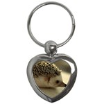 Standard Hedgehog II Key Chain (Heart)