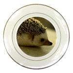 Standard Hedgehog II Porcelain Plate