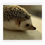 Standard Hedgehog II Glasses Cloth (Medium, Two Sides)