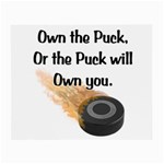 Own The Puck Glasses Cloth (Small, Two Sides)