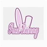 Puck Bunny 2 Glasses Cloth (Small, Two Sides)