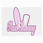 Puck Bunny 2 Glasses Cloth (Large)