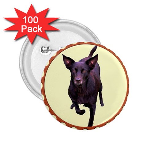 Kelpie 1 2.25  Button (100 pack) from ArtsNow.com Front