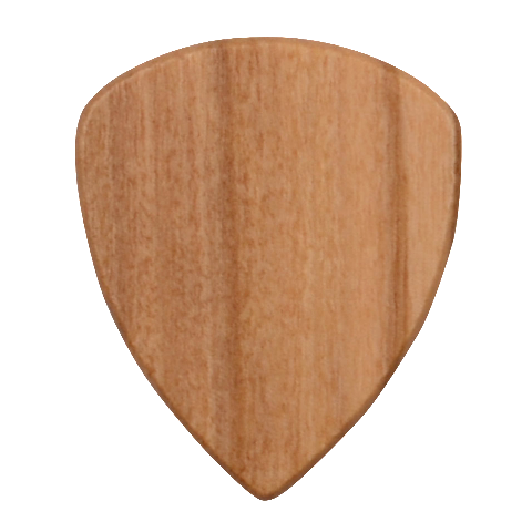 Flowers Roses Pattern Nature Bloom Wood Guitar Pick (Set of 10) from ArtsNow.com Front