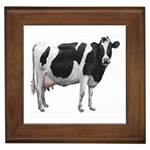 Cow Framed Tile