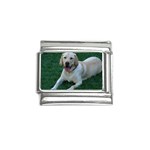 Labrador Retriever Dog Italian Charm (9mm)