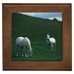 Two White Horses 0002 Framed Tile