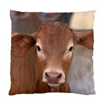 Brown Cow  0003 Cushion Case (Two Sides)