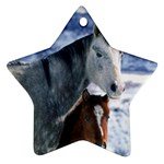 Winter Horses 0004 Ornament (Star)