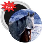 Winter Horses 0004 3  Magnet (10 pack)