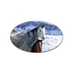 Winter Horses 0004 Sticker Oval (10 pack)