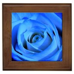 Blue Rose Custom Framed Tile