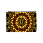 Repsycle 006 Cosmetic Bag (Medium)