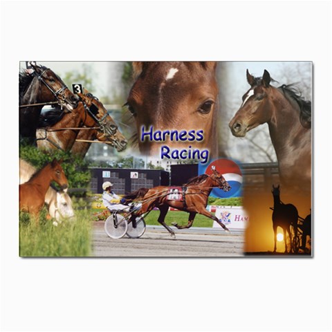Harness Racing Postcards 5  x 7  (Pkg of 10) from ArtsNow.com Front