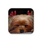Sleeping Yorkie Painting Scan 300dpi Retouched Copy Rubber Coaster (Square)