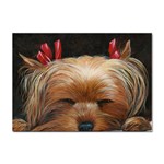 Sleeping Yorkie Painting Scan 300dpi Retouched Copy Sticker A4 (100 pack)