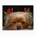 Sleeping Yorkie Painting Scan 300dpi Retouched Copy Glasses Cloth (Small)