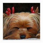 Sleeping Yorkie Painting Scan 300dpi Retouched Copy Glasses Cloth (Medium)